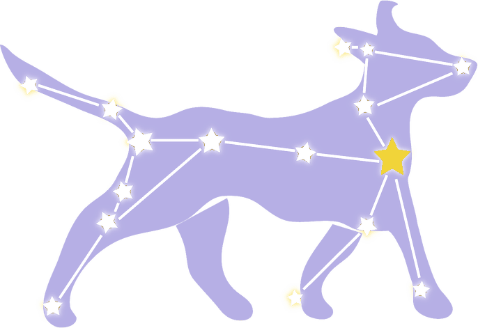 The Sirius Play mark — the constellation Canis Major laid over a dog, with Sirius as a gold star at the chest